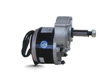 Electric Bicycle Gear Motor MY1016Z2 250W 24V Ebike DC Motor with Low Noise